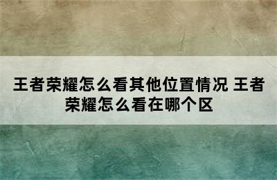 王者荣耀怎么看其他位置情况 王者荣耀怎么看在哪个区